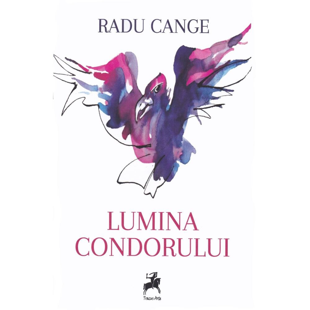 Lumina condorului