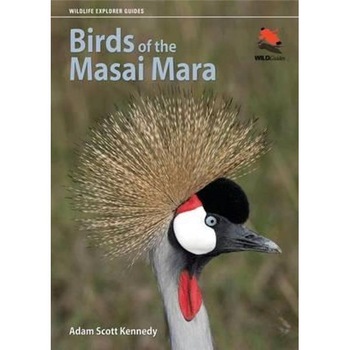 Birds of the Masai Mara Birds of the Masai Mara