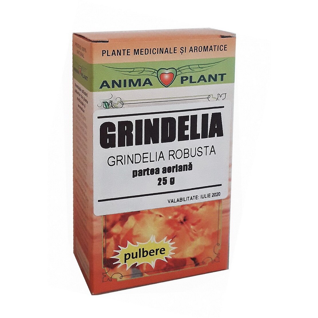 Grindelia, Grindelia robusta, partea aeriana, pulbere, Anima Plant, 25 g