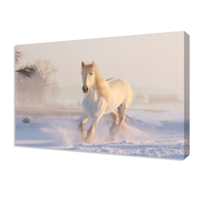 Tablou canvas, PepanzaRo, cal alergand in natura, 50 x 35 cm