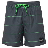 short baie oneill contourz shorts 9a32118960 barbati gri xs imagen 42_0_
0