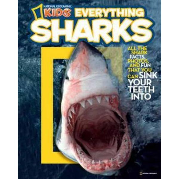 Everything: Sharks