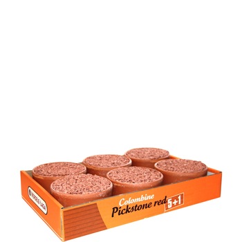Supliment pentru porumbei Colombine Pickstone Tray 5+1 Supliment pentru porumbei Colombine Pickstone Tray 5+1