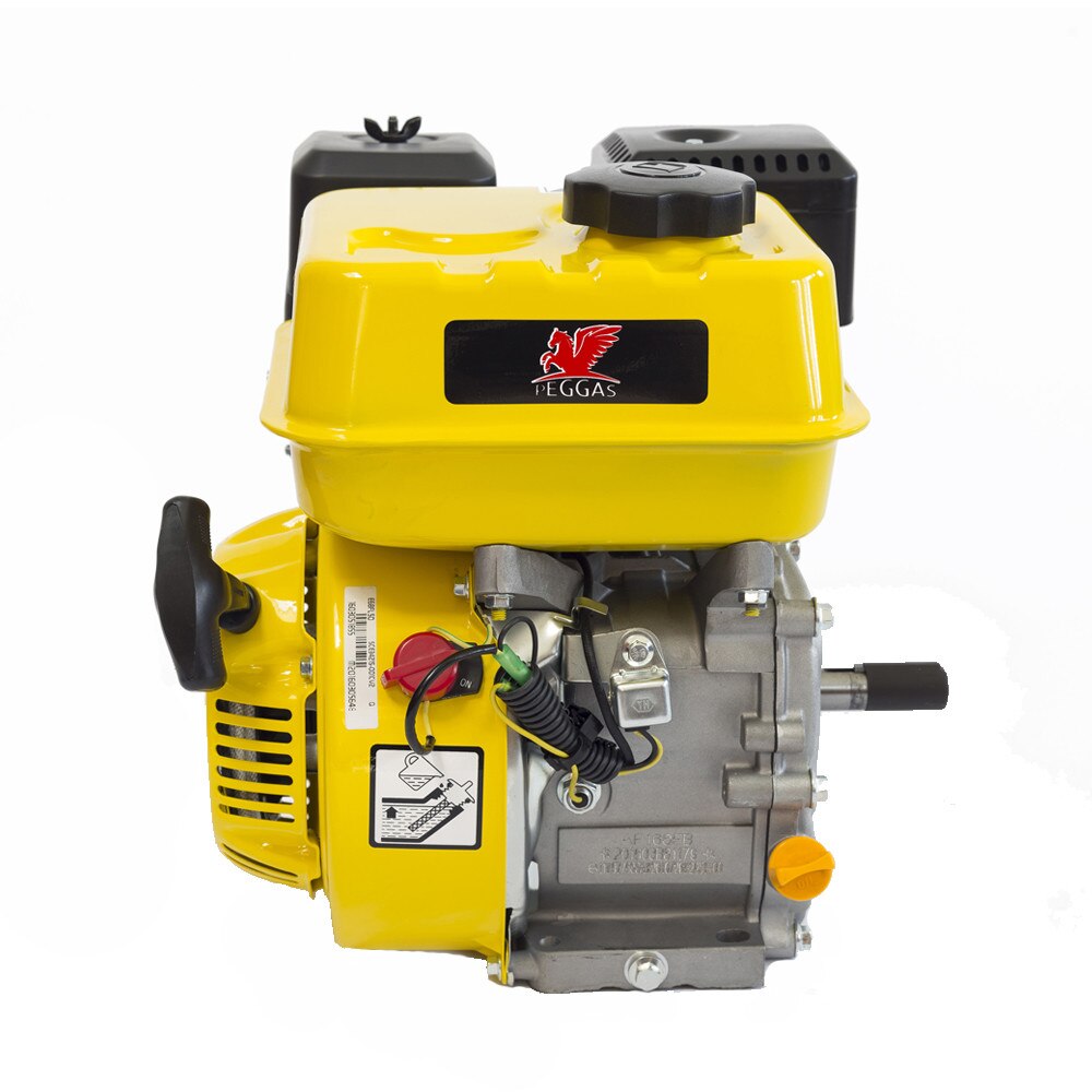 Motor termic pe benzina 4 timpi Waspper EY101-AP168F