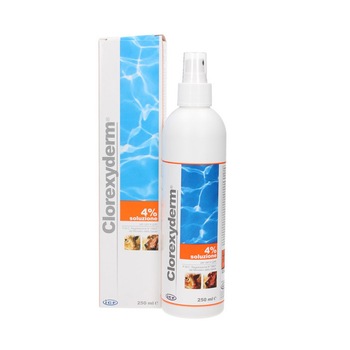 Sampon Antiseptic Spalare Uscata Spray ICF Clorexyderm 4%, 220 ml Sampon Antiseptic Spalare Uscata Spray ICF Clorexyderm 4%, 220 ml