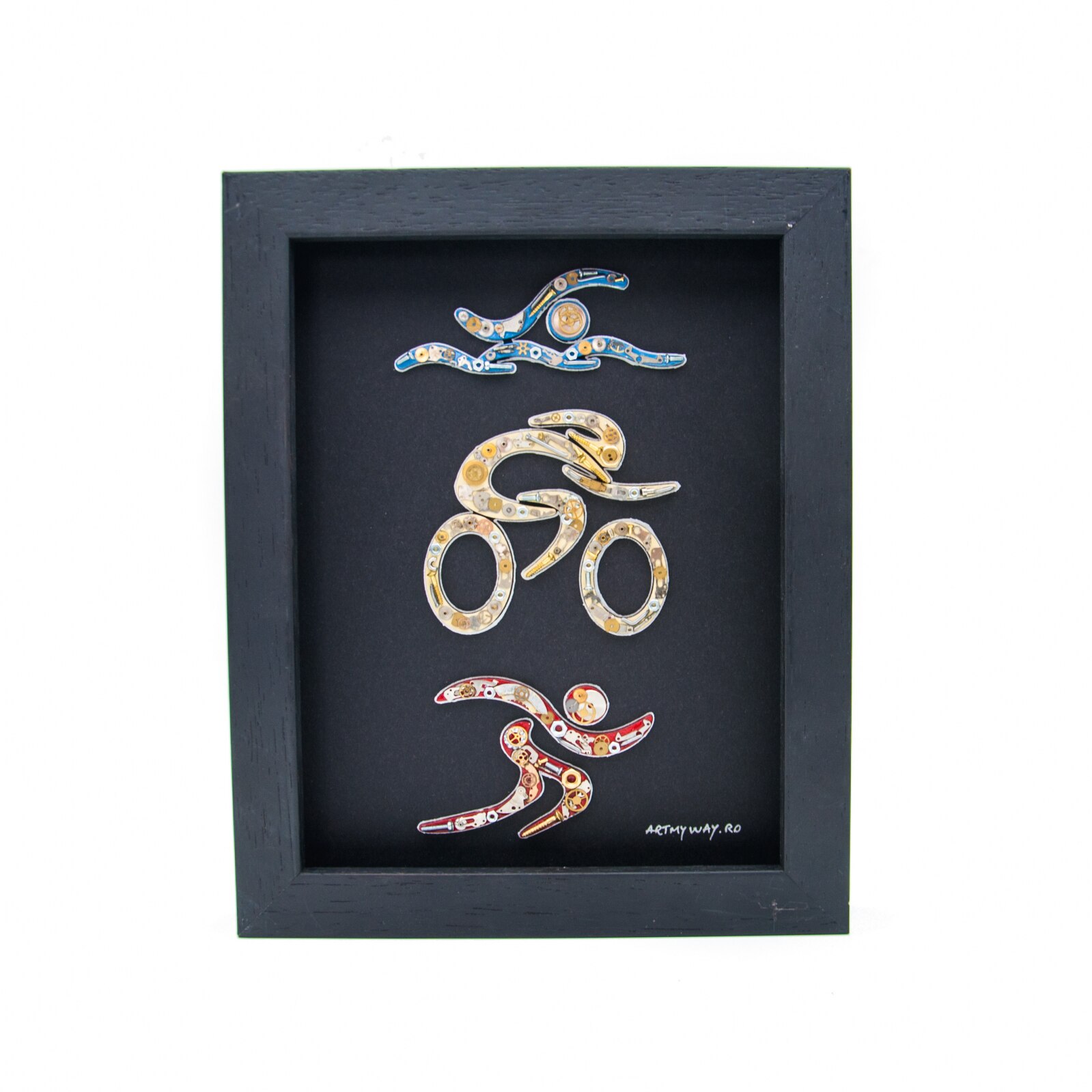 Tablou Triatlon - Colectia SteamWall