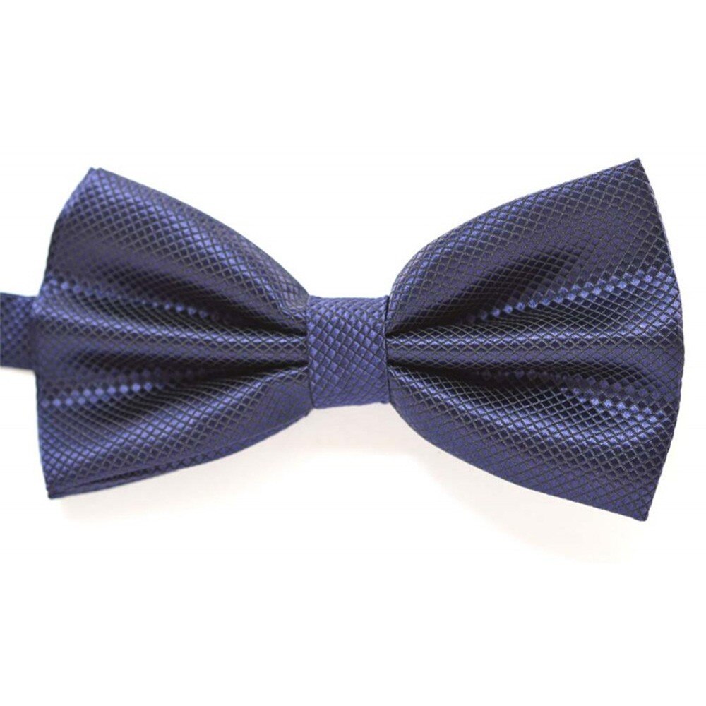 Papion albastru ERASMO