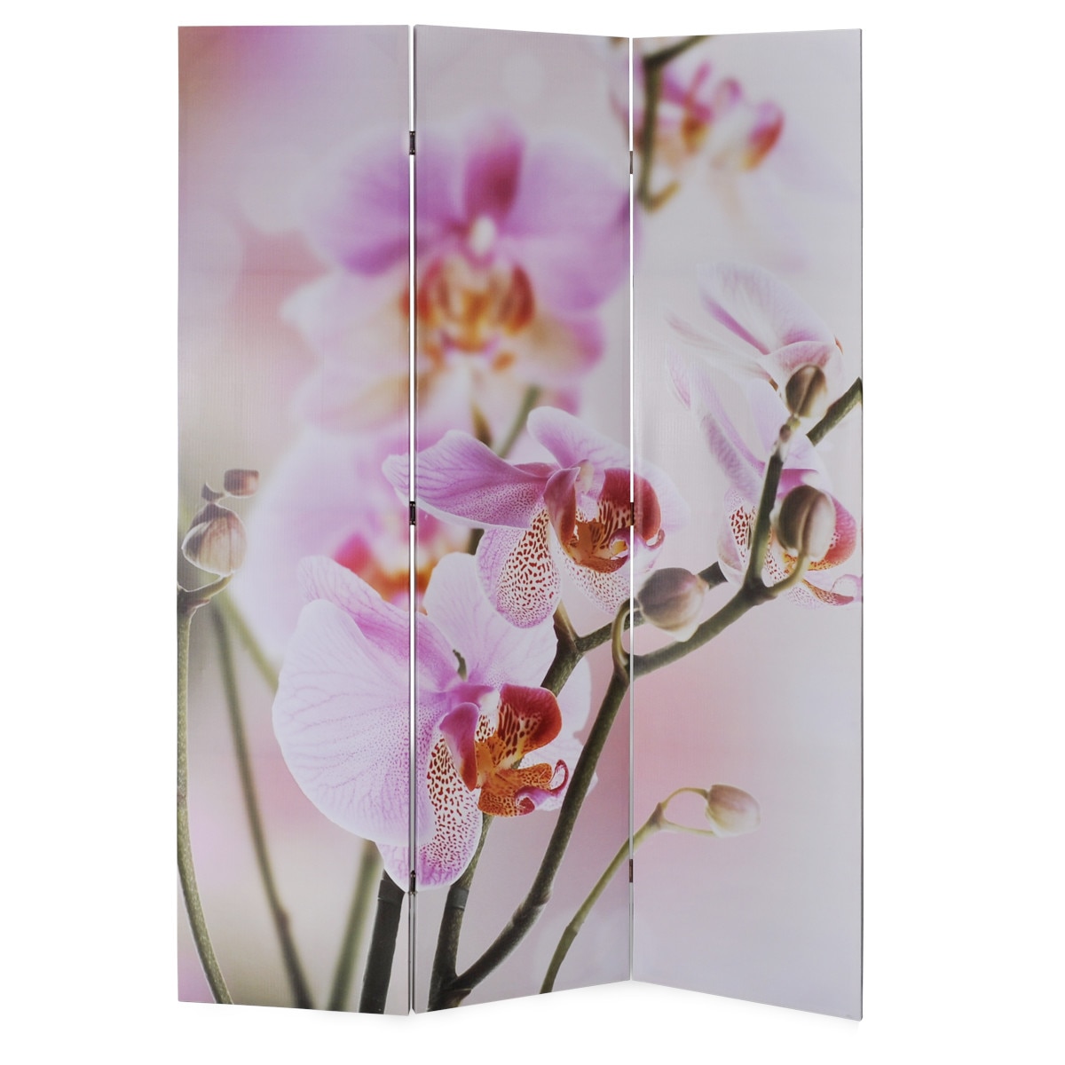 Paravan pliabil cu imprimeu floral, vidaXL, Cadru de lemn, 120 x 180 cm, Multicolor
