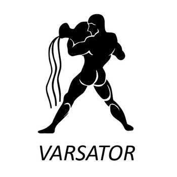 Sticker decorativ StickerStore Varsator Zodiac, 60x40 cm, Negru Sticker decorativ StickerStore Varsator Zodiac, 60x40 cm, Negru
