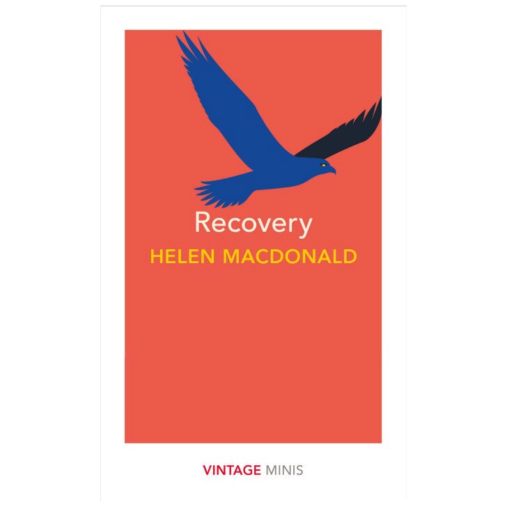 Recovery (Vintage Minis) - Helen Macdonald