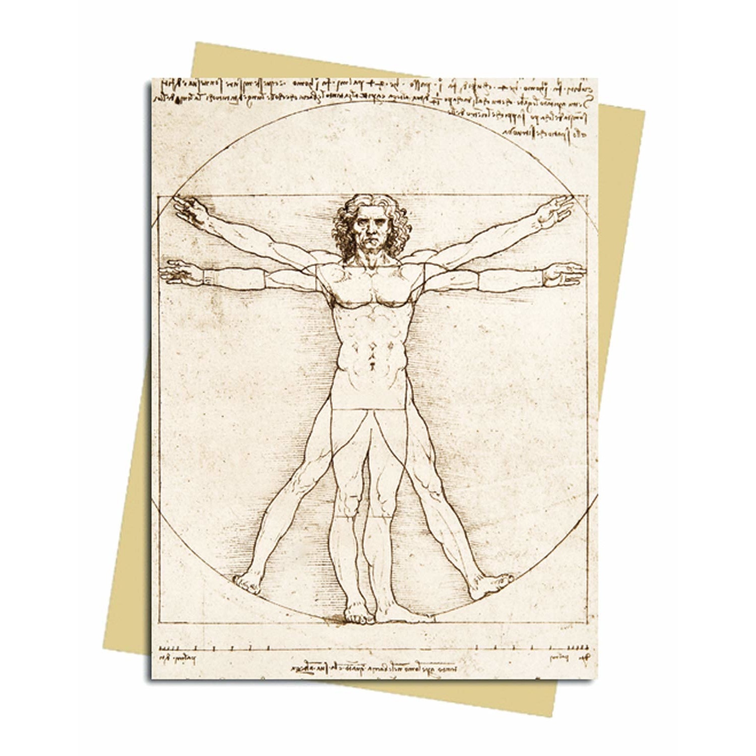 Felicitare - Leonardo Da Vinci - Vitruvian Man