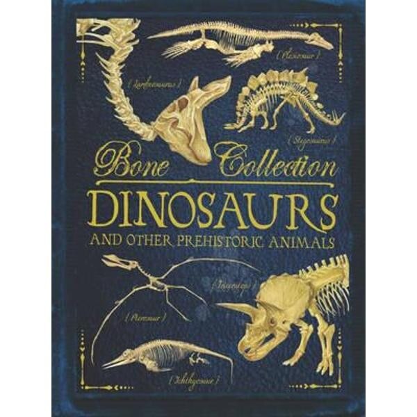 Bone Collections: Dinosaurs