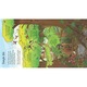 Книга "Погледнете в джунглата" Usborne, 5 години+