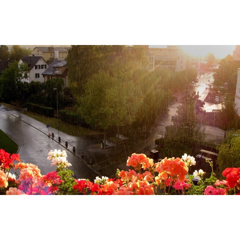 Fototapet autoadeziv 70x105 cm Peisaj 517