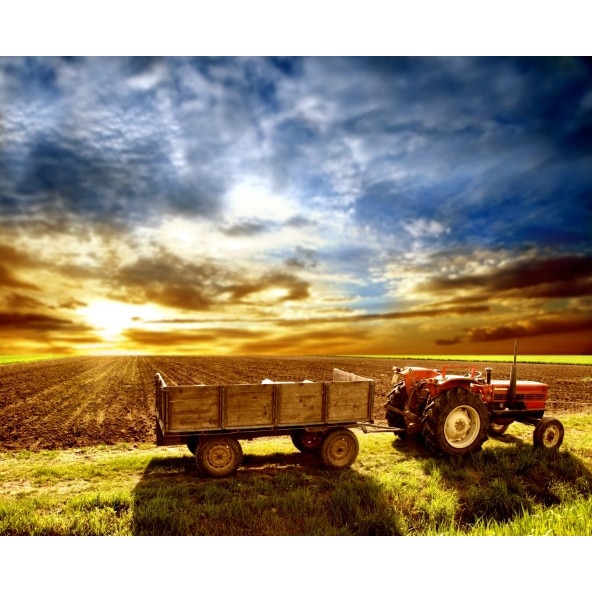 Fototapet autoadeziv 75x115 cm Peisaj 556