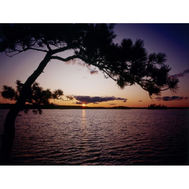 Fototapet autoadeziv Canvas 100x70 cm Peisaj 533