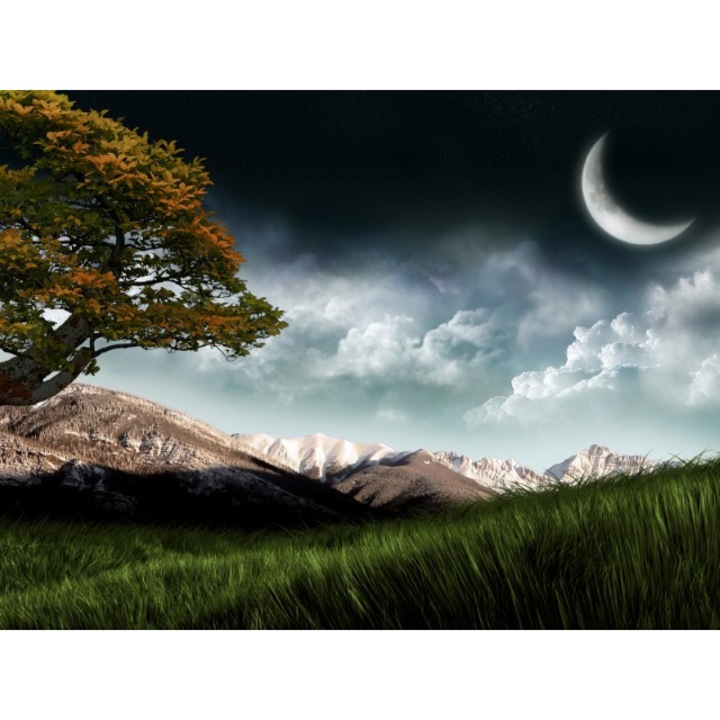 Fototapet autoadeziv Canvas 100x70 cm Peisaj 512