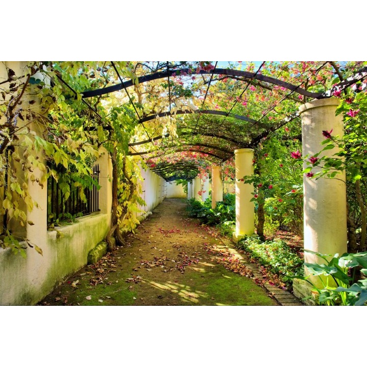 Fototapet autoadeziv Canvas 100x70 cm Peisaj 560