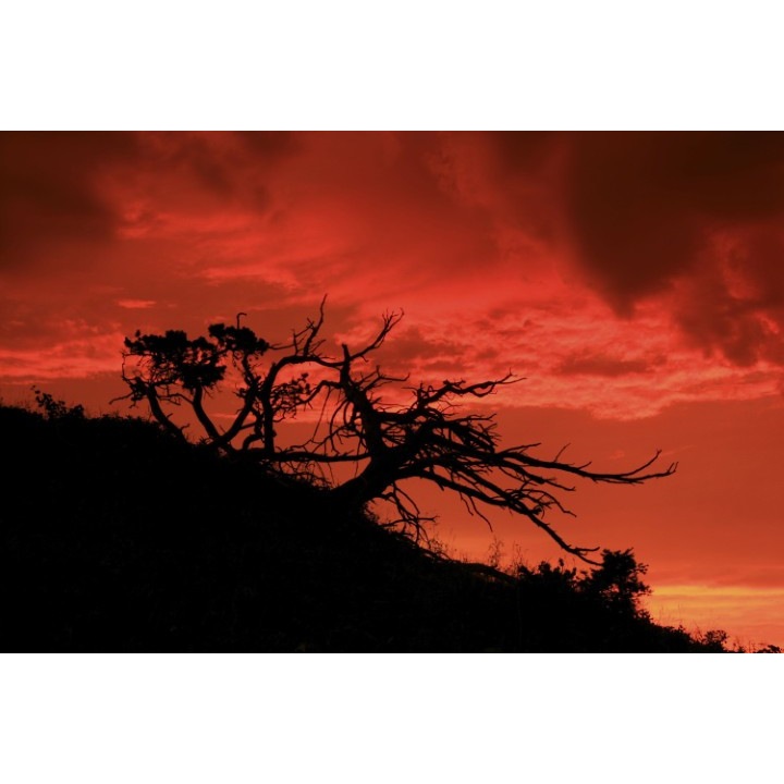 Fototapet autoadeziv Canvas 120x80 cm Peisaj 528