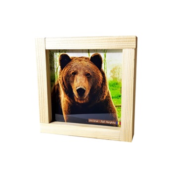 Cadou pentru barbati, Regalo - Tablou luminos Urs, maro, 12,5 cm Cadou pentru barbati, Regalo - Tablou luminos Urs, maro, 12,5 cm