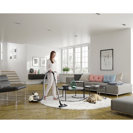 Aspirator fara sac Electrolux ZSPCSILENT, Tub telescopic, 800 W, Filtru Hygiene 12 lavabil, Alb