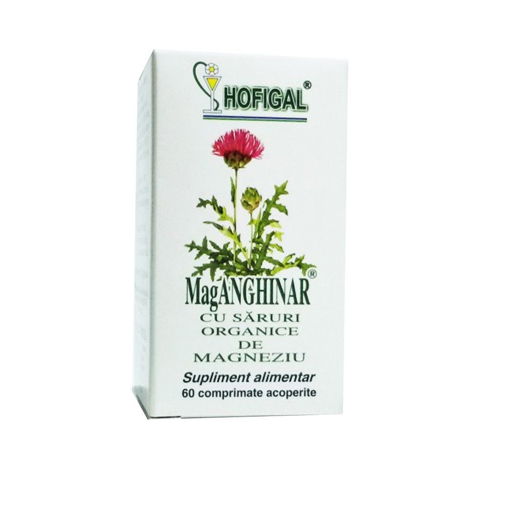 Complex detoxifiant, 40 comprimate, Hofigal : Farmacia Tei online