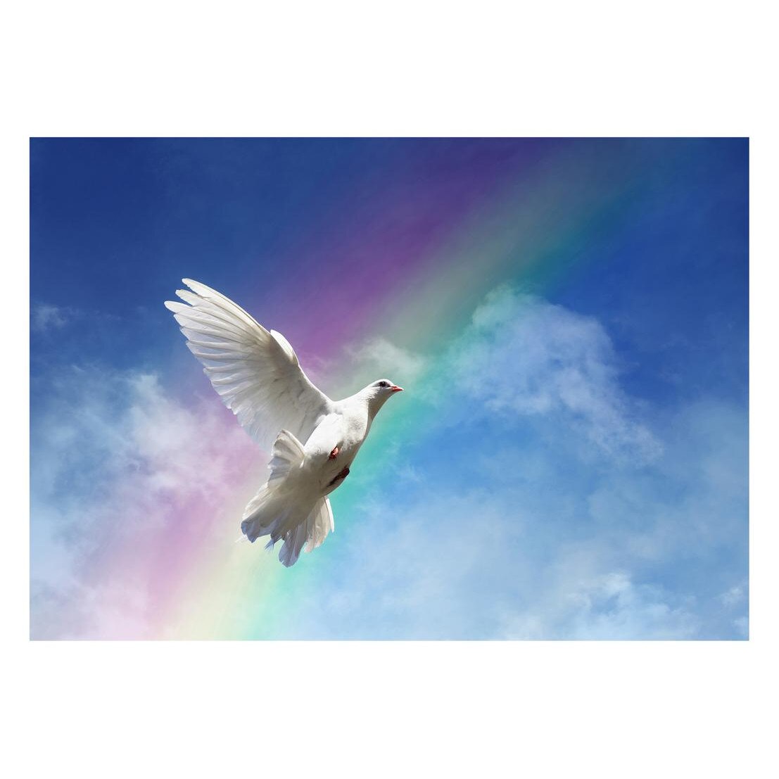 Fototapet Pasari-&-Fluturi - BL-064, 70 x 100 cm