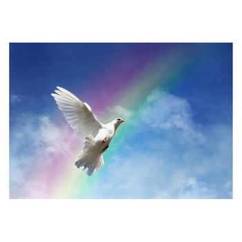 Fototapet Pasari-&-Fluturi - BL-064, 70 x 100 cm Fototapet Pasari-&-Fluturi - BL-064, 70 x 100 cm