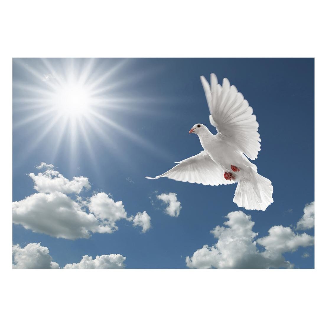 Fototapet Pasari-&-Fluturi - BL-059, 70 x 100 cm