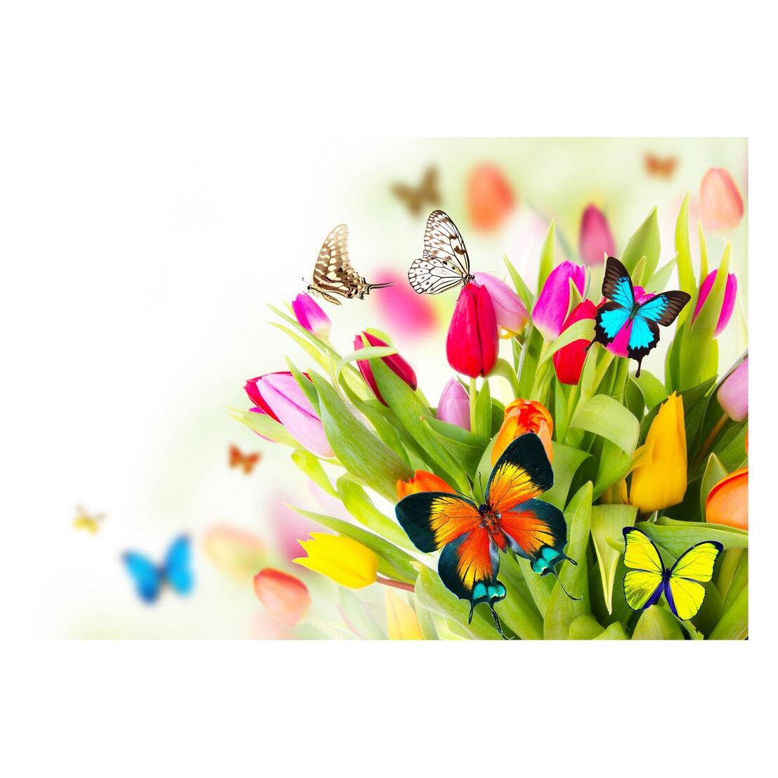 Fototapet Pasari-&-Fluturi - BL-109, 70 x 100 cm