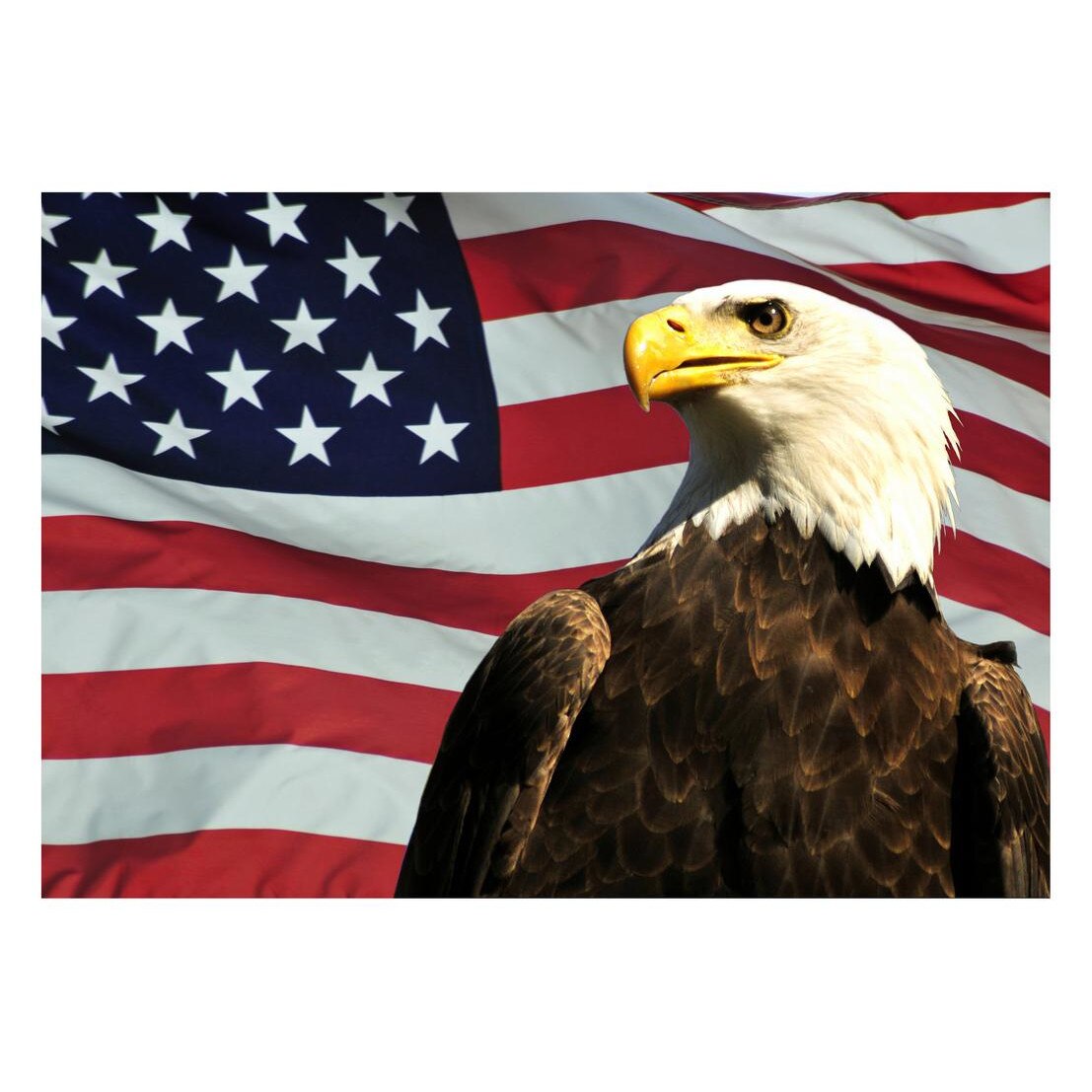 Fototapet Pasari-&-Fluturi - BL-014, 70 x 100 cm