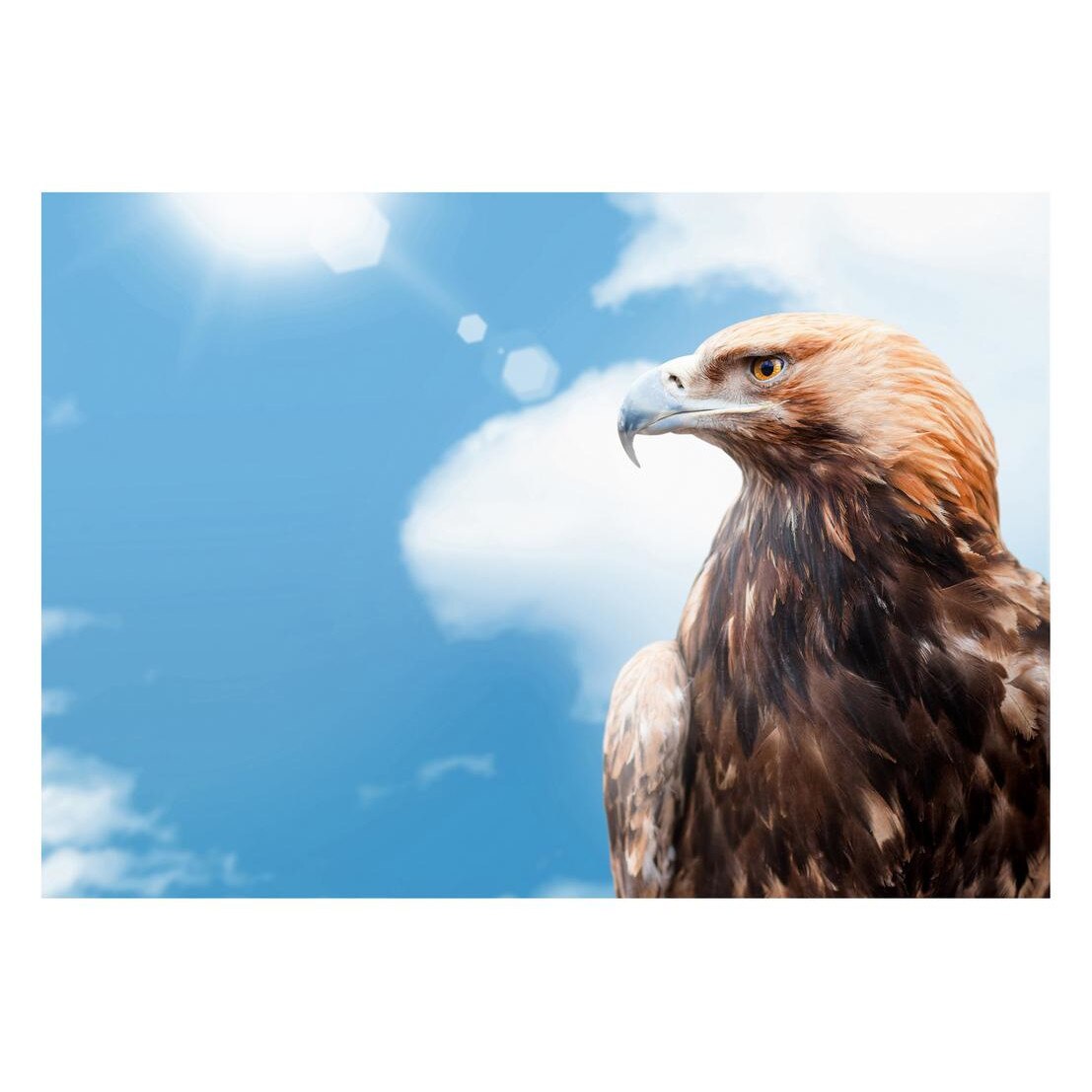 Fototapet Pasari-&-Fluturi - BL-017, 70 x 100 cm