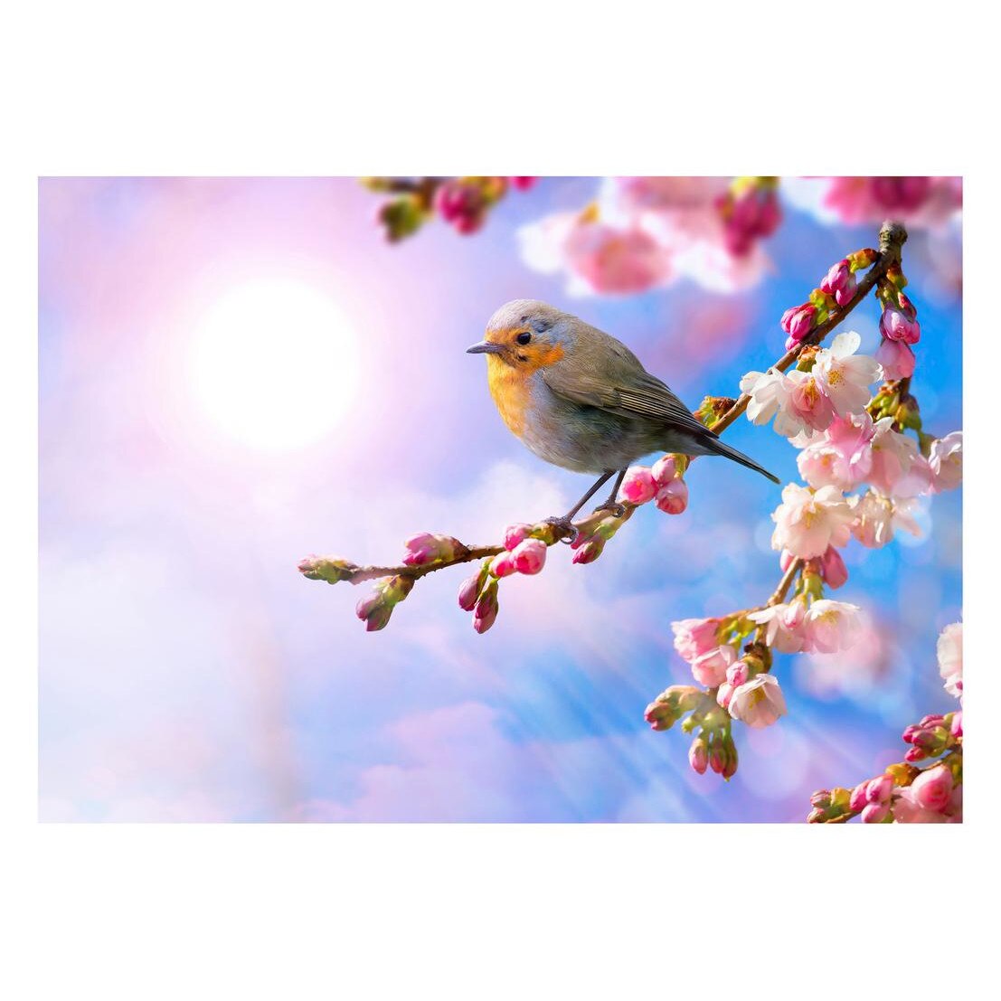 Fototapet Pasari-&-Fluturi - BL-084, 70 x 100 cm