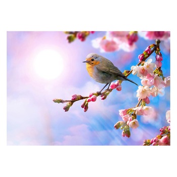 Fototapet Pasari-&-Fluturi - BL-084, 70 x 100 cm Fototapet Pasari-&-Fluturi - BL-084, 70 x 100 cm