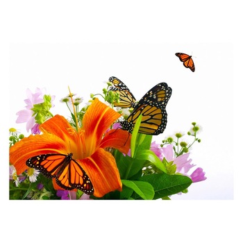 Fototapet Pasari-&-Fluturi - BL-121, 70 x 100 cm Fototapet Pasari-&-Fluturi - BL-121, 70 x 100 cm