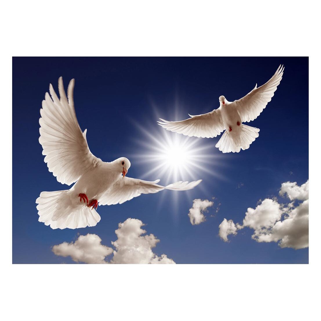 Fototapet Pasari-&-Fluturi - BL-068, 70 x 100 cm