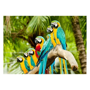 Fototapet Pasari-&-Fluturi - BL-028, 70 x 100 cm Fototapet Pasari-&-Fluturi - BL-028, 70 x 100 cm