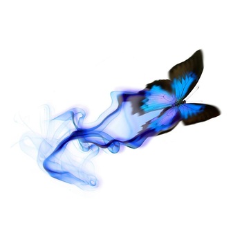 Fototapet Pasari-&-Fluturi - BL-138, 70 x 100 cm Fototapet Pasari-&-Fluturi - BL-138, 70 x 100 cm