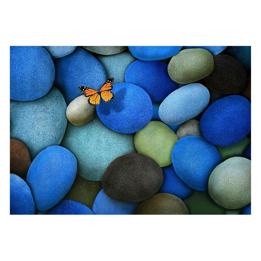 Fototapet Pasari-&-Fluturi - BL-130, 70 x 100 cm