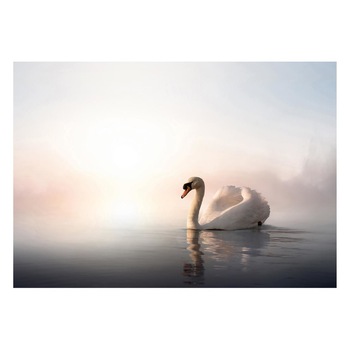 Fototapet Pasari-&-Fluturi - BL-075, 70 x 100 cm Fototapet Pasari-&-Fluturi - BL-075, 70 x 100 cm