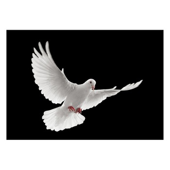 Fototapet Pasari-&-Fluturi - BL-070, 70 x 100 cm Fototapet Pasari-&-Fluturi - BL-070, 70 x 100 cm