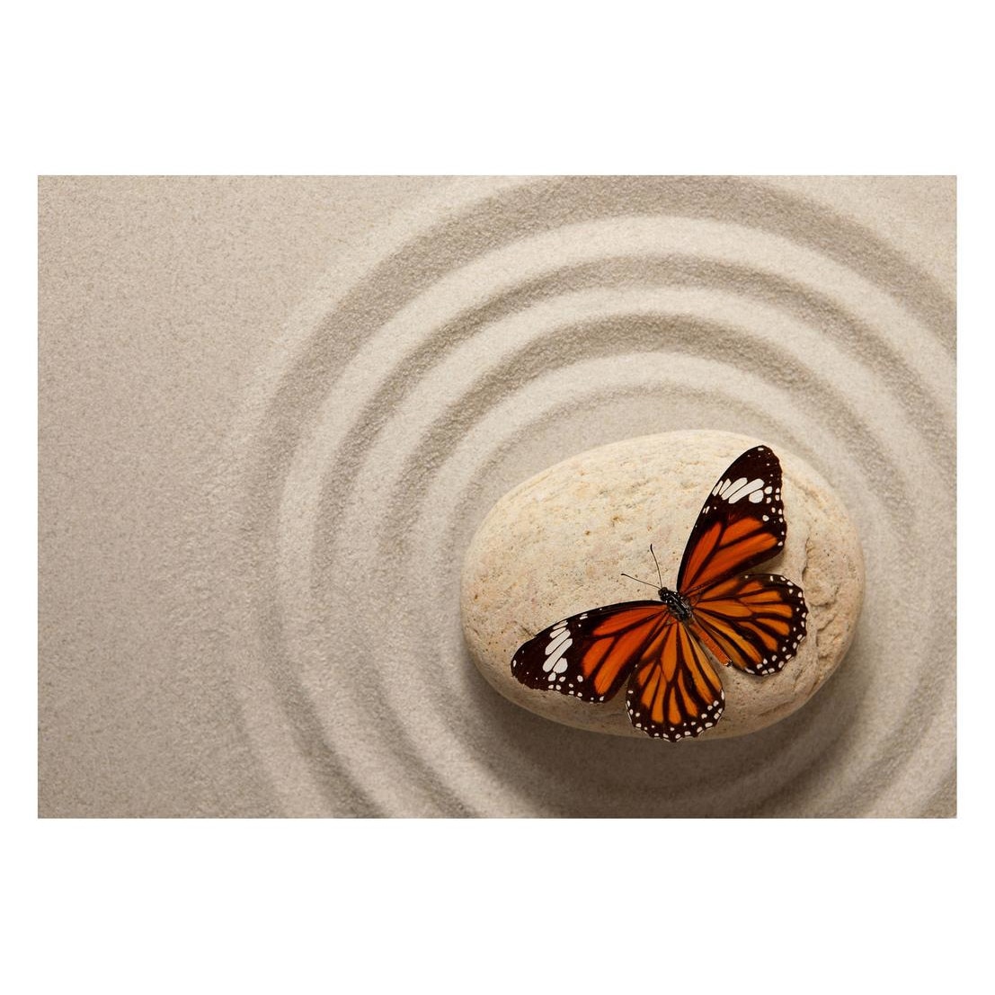 Fototapet Pasari-&-Fluturi - BL-136, 70 x 100 cm