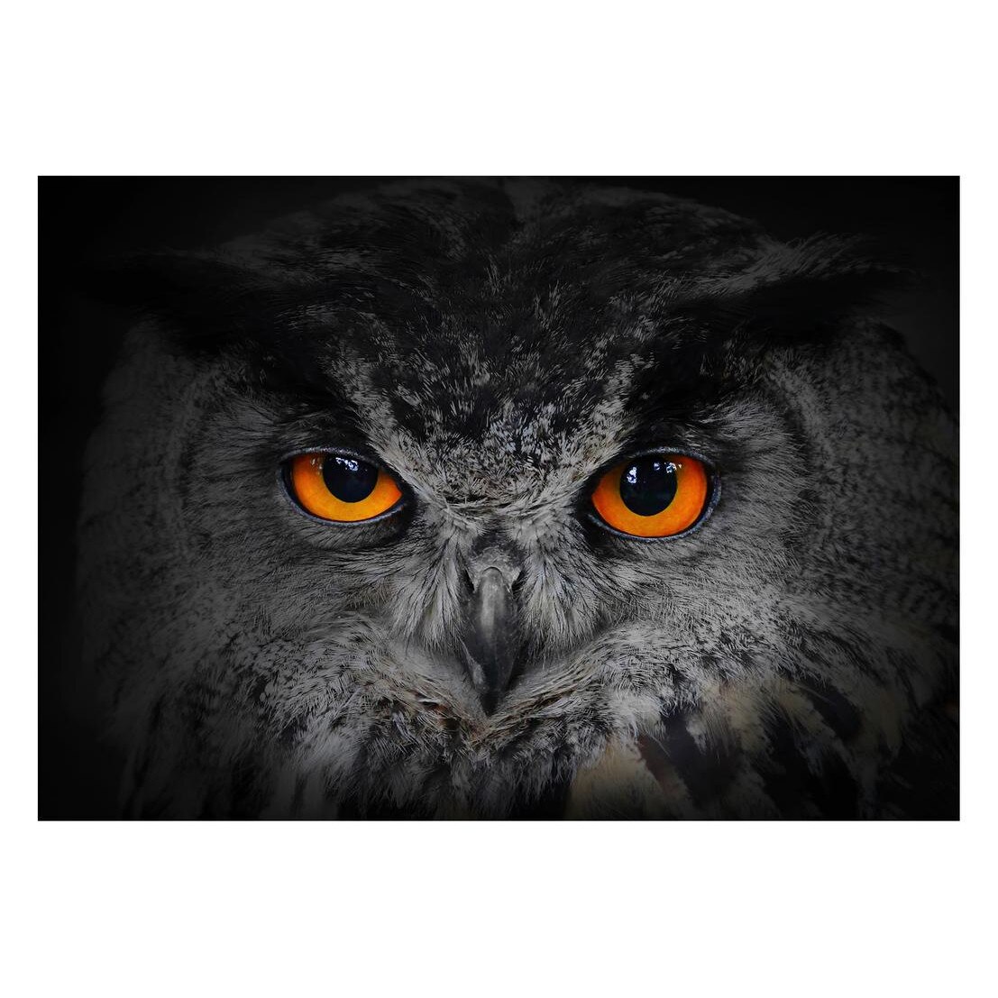 Fototapet Pasari-&-Fluturi - BL-003, 70 x 100 cm