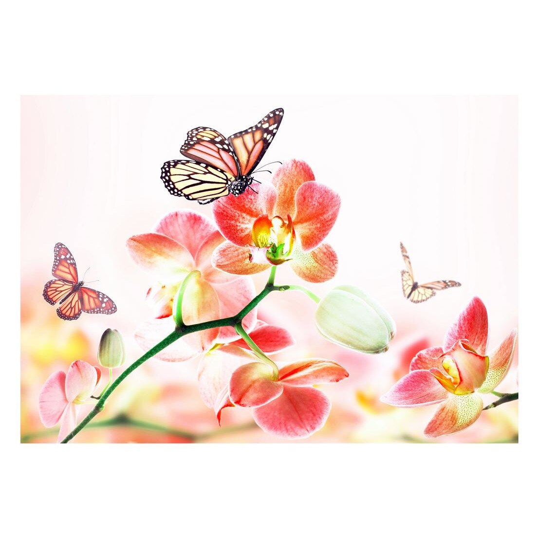 Fototapet Pasari-&-Fluturi - BL-119, 70 x 100 cm