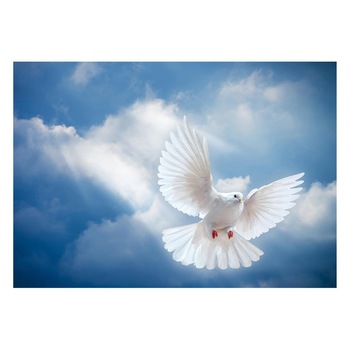 Fototapet Pasari-&-Fluturi - BL-063, 70 x 100 cm Fototapet Pasari-&-Fluturi - BL-063, 70 x 100 cm