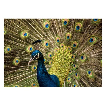 Fototapet Pasari-&-Fluturi - BL-048, 70 x 100 cm Fototapet Pasari-&-Fluturi - BL-048, 70 x 100 cm