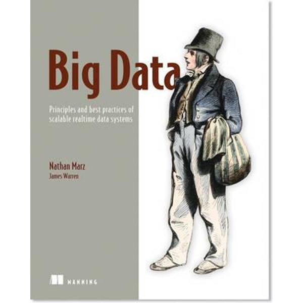 Big Data: Principles and Best Practices of Scalable Realtime