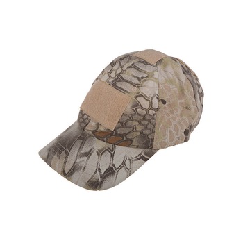 Sapca tactica, HLD Sapca tactica, HLD