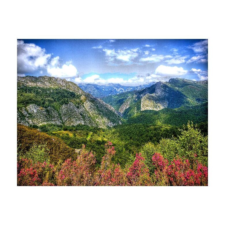 Tablou Canvas Natura, Dimensiunea 100x70 nat63