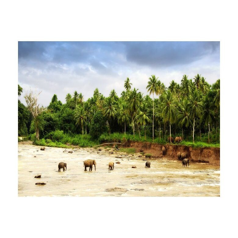 Tablou Canvas Natura, Dimensiunea 100x70 nat114